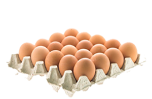 Dozen Eggs