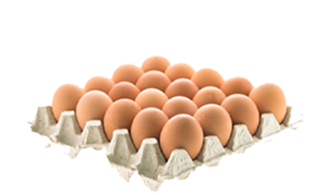 Dozen Eggs