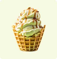 Mint Chocolate Chip Cone