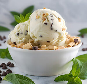 Coconut Milk Chocolate Chip