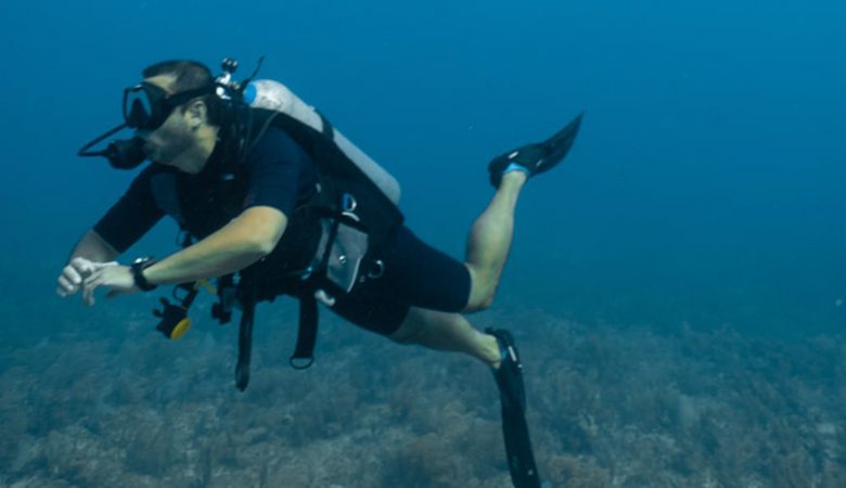 Roe Sea Scuba Diving