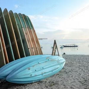 Seaquest Surfboard