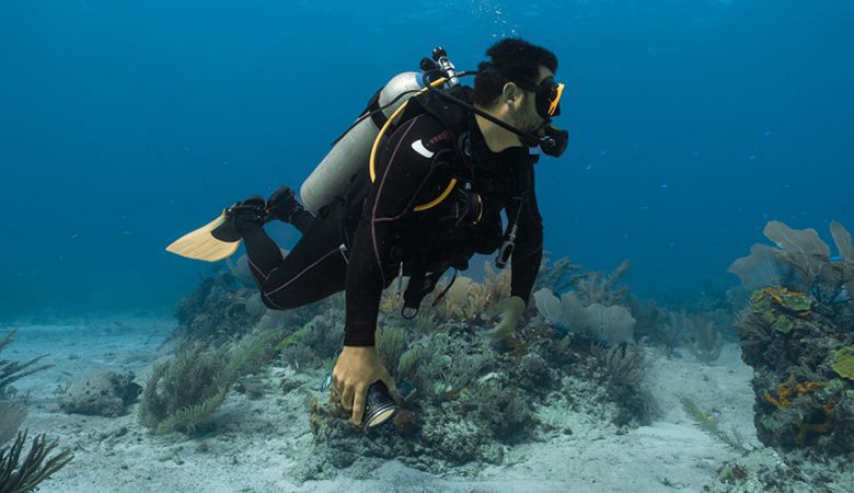 Free Diving