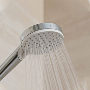 Bathroom Shower Head
